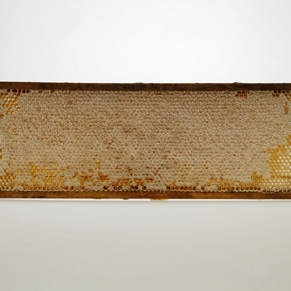 Plástečkový med v rámečku 100g